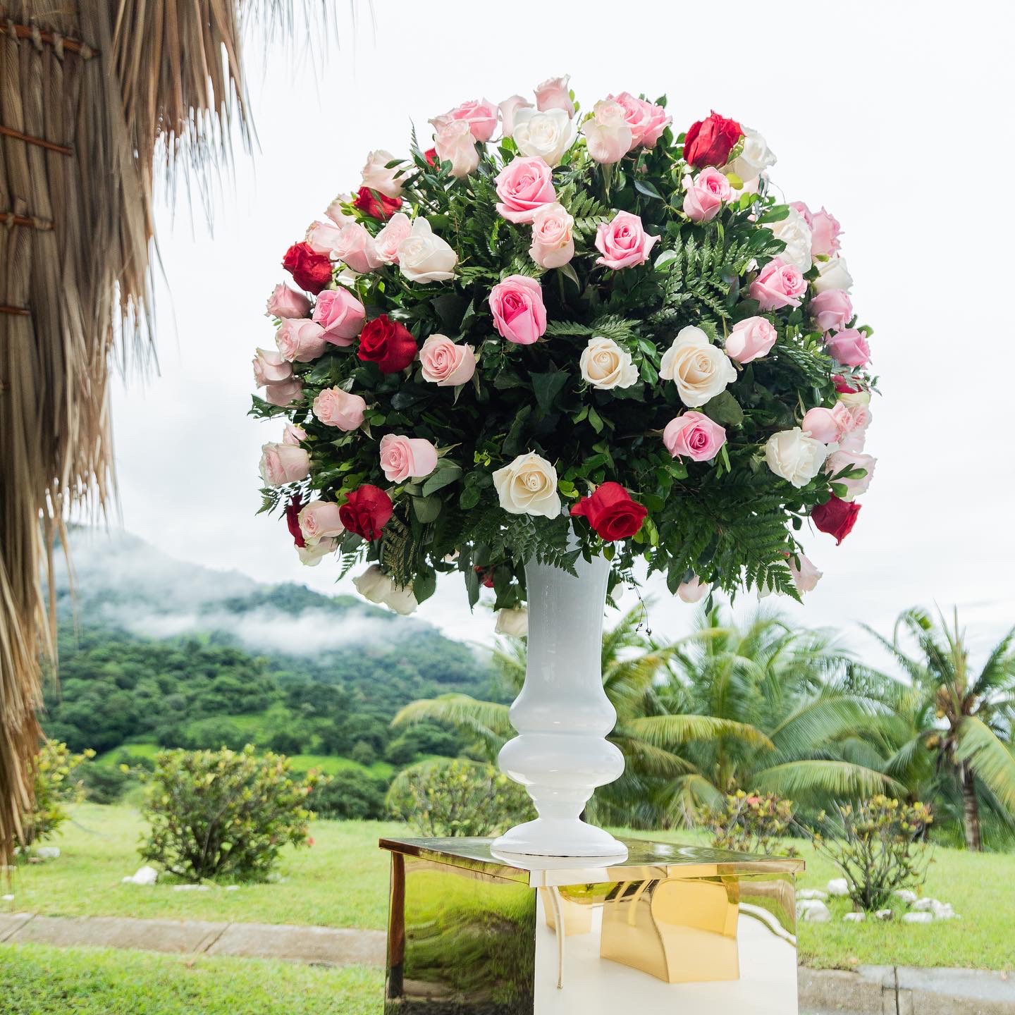 Joelsanchez_Garden_2